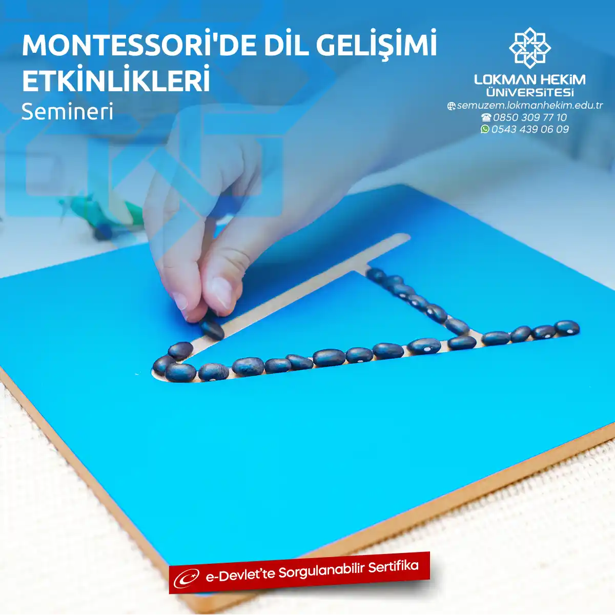 Montessori'de Dil Gelişimi Etkinlikleri Semineri